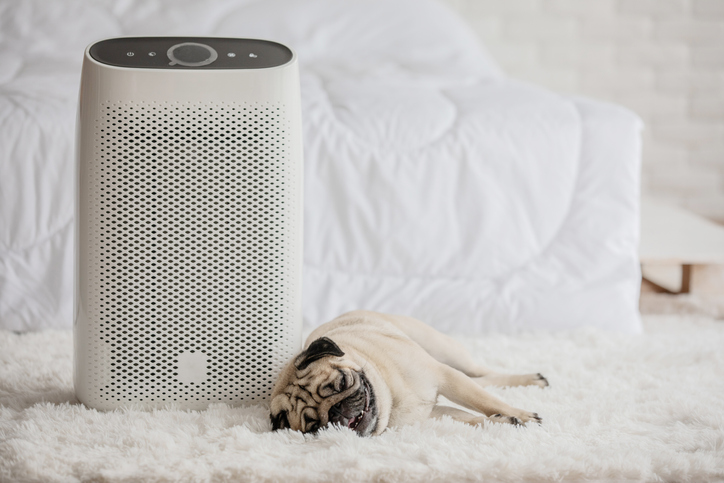 Professional Air Purifiers for Pet Allergens US Air Purifiers 888-231-1463
