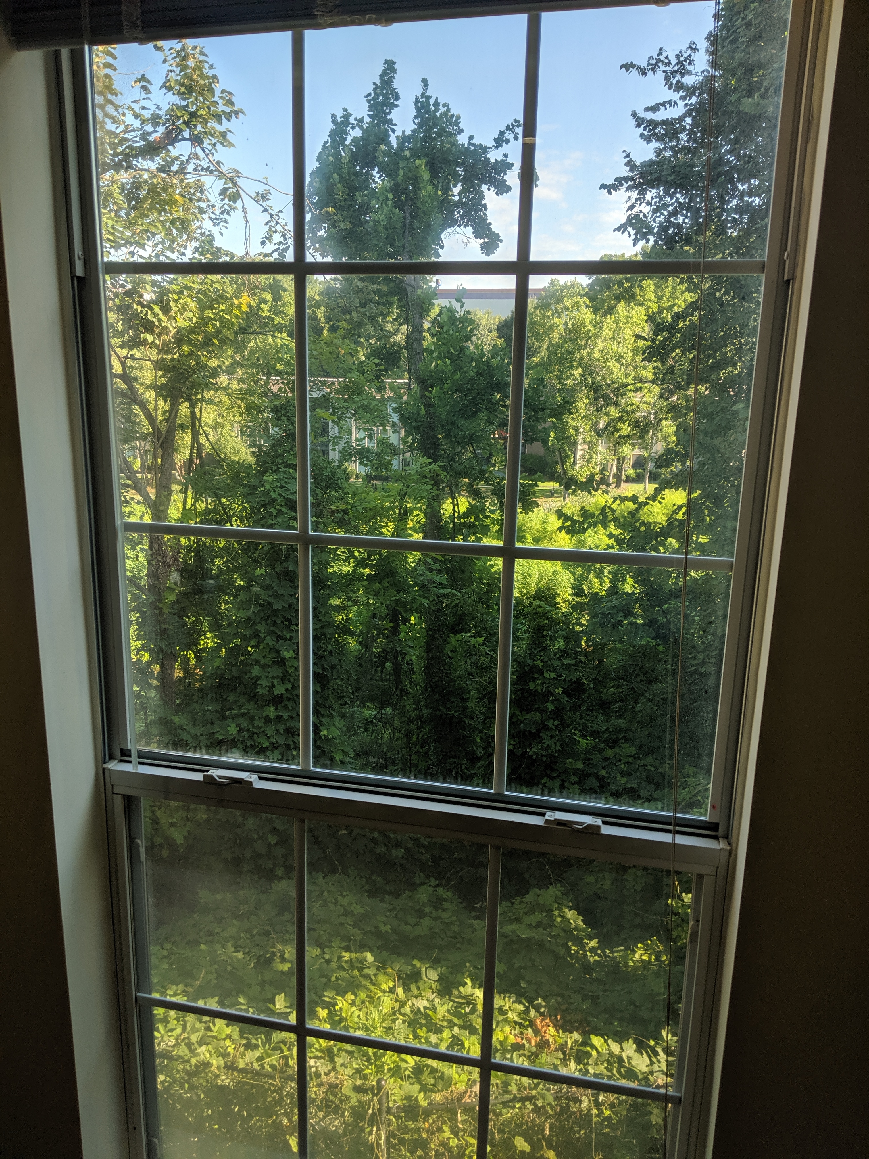 New window baybeee! 